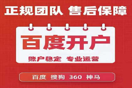 某电商平台的SEM运营实战与效果分析